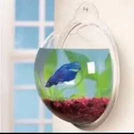 Wandhängendes Blasen-Aquarium