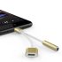 2-in-1 Lightning- und Klinkenstecker