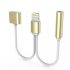 2-in-1 Lightning- und Klinkenstecker