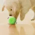 Hundespielzeug, Hundeball, interaktiver Ball für Hunde