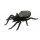 Solar-Spinne