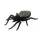 Solar-Spinne