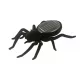 Solar-Spinne