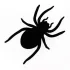 Solar-Spinne