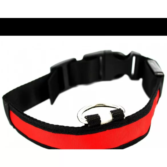 LED Hundehalsband leuchtendes Hundehalsband