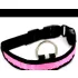 LED Hundehalsband leuchtendes Hundehalsband