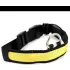 LED Hundehalsband leuchtendes Hundehalsband