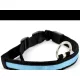 LED Hundehalsband leuchtendes Hundehalsband