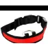 LED Hundehalsband leuchtendes Hundehalsband