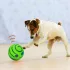 Hundespielzeug, Hundeball