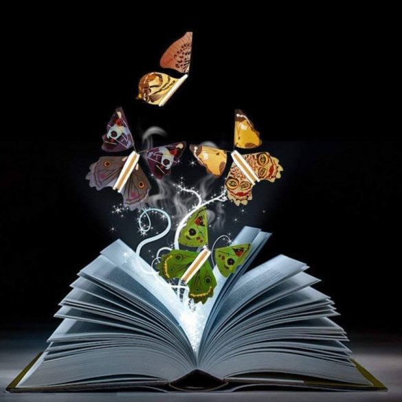 Schmetterling Überraschungsgeschenk 5 Stk.