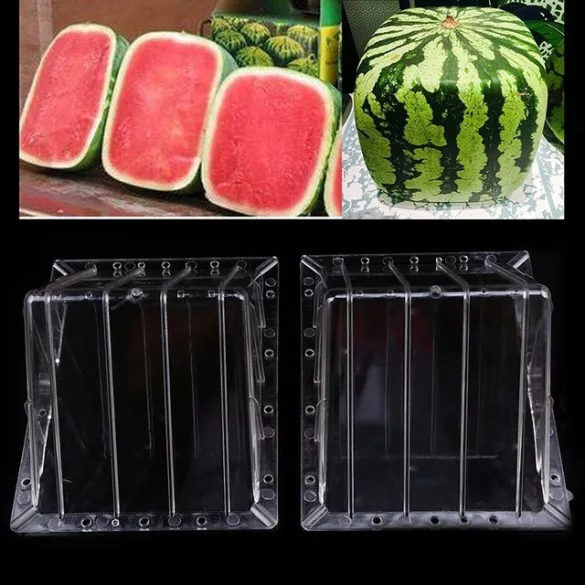 Kreativer Wassermelonenformer