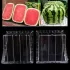 Kreativer Wassermelonenformer