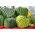 Kreativer Wassermelonenformer