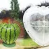 Kreativer Wassermelonenformer