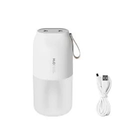 300 ml Doppel-Spray-Luftbefeuchter