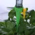 Tropfbewässerung, automatischer Tropfer, automatisches Bewässerungssystem 6 Stk.
