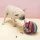 Futterball für Hunde und Katzen