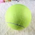 Riesiger Tennisball Hundespielzeug (24 cm)