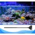 Algenkratzer für Aquarien