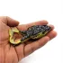 Froschköder, lebensechter Kunstköder, Kunstköder, Doppelhaken-Wobbler, Schwimmköder