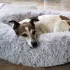Flauschiges Haustierbett, Katzen-Hundebett