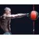 Reflexboxball