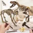 Dinosaurier-Ausgrabungsset