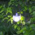 Solarbetriebene, wasserdichte Gartenlampe