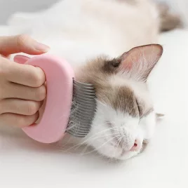 Katzenhaarbürste, Kamm