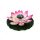 Riesige Solar-Seerose