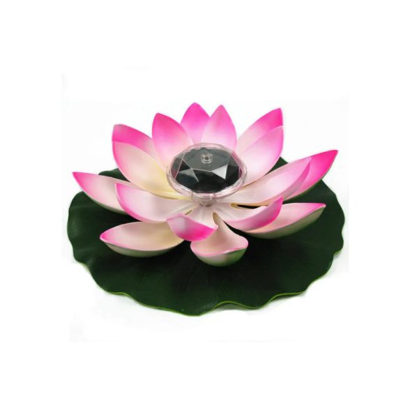 Riesige Solar-Seerose