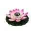 Riesige Solar-Seerose