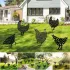 Huhn Gartendeko