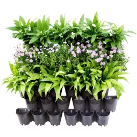 Wand-Blumenhalter