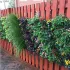 Wand-Blumenhalter