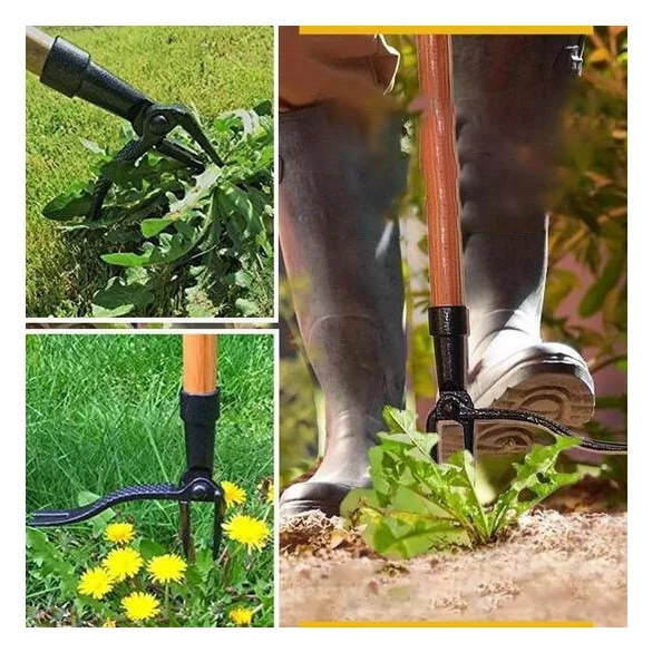 Unkrautentferner Werkzeugkopf, Wurzel- und Unkrautentferner