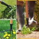 Unkrautentferner Werkzeugkopf, Wurzel- und Unkrautentferner