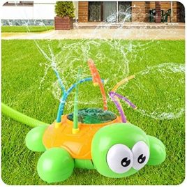 Wasserspiel mit Schildkröte