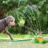 Wasserspiel mit Schildkröte