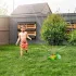 Wasserspiel mit Schildkröte