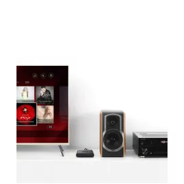 Heimkino-Upgrade, Kabelloser Bluetooth-Empfänger