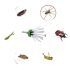 Spinnen- und Insektenfänger-Stab