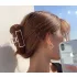 Elegante Haarklammer Haarschmuck