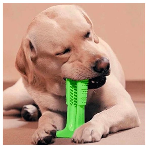 Hundezahnbürste, Hundezahnreiniger