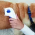 Elektrischer, sicherer Flohkamm