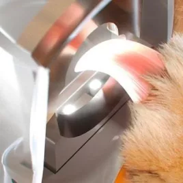 Nagelschere für Haustiere