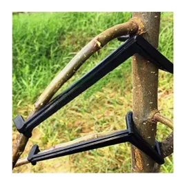 Verstellbarer Obstbaum-Zweighalter 10 Stk.
