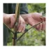 Verstellbarer Obstbaum-Zweighalter 10 Stk.