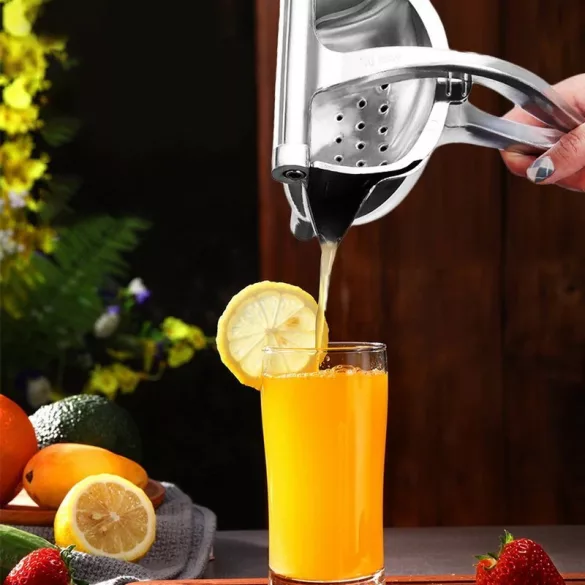 Fruchtpresse